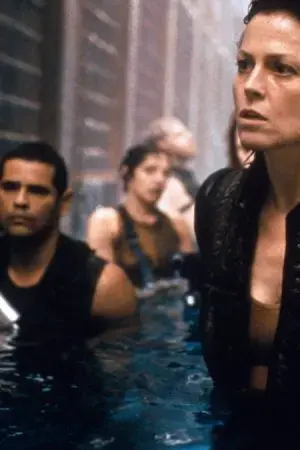 Vợ Cũ Chết Người