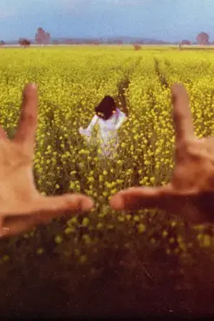 Các chuyên gia Các chuyên gia