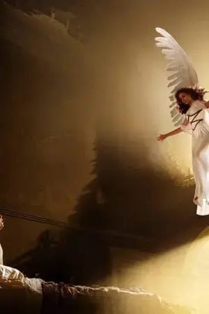 Chàng Rể Thiên Kim